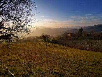 Scenic view of field against sky during sunset