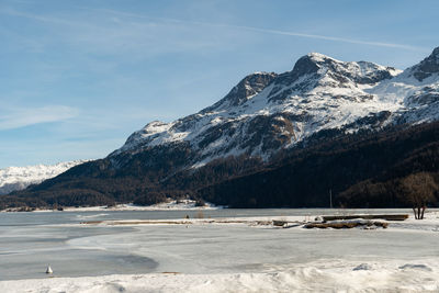 Silvaplana, switzerland, february 21, 2023 winter landscape scenery with a frozen lake of silvaplana