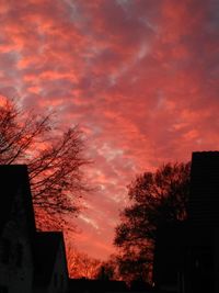 Low angle view of silhouette trees against dramatic sky