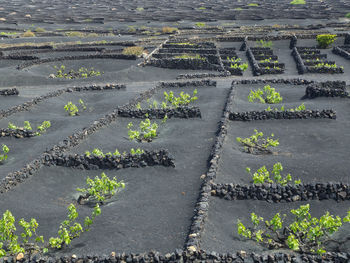 Arrecife and the island lanzarote