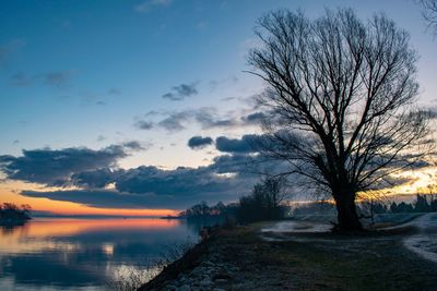 Bare tree by road against sky during sunset