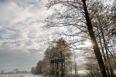 Low angle view of bare trees against sky