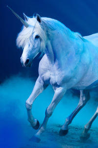 Horse standing against blue sea