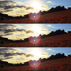 Scenic view of sunset over landscape