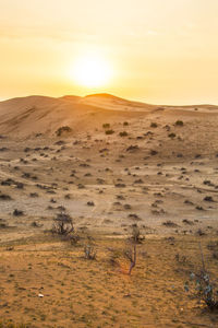 Scenic view of landscape against sky during sunset