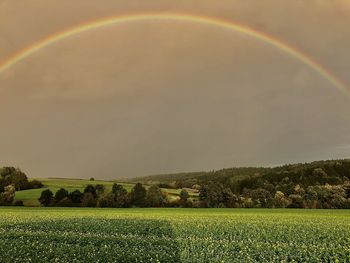 Scenic view of field against rainbow in sky