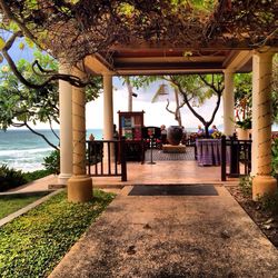 Gazebo in park