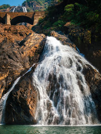 Stream flowing through forest