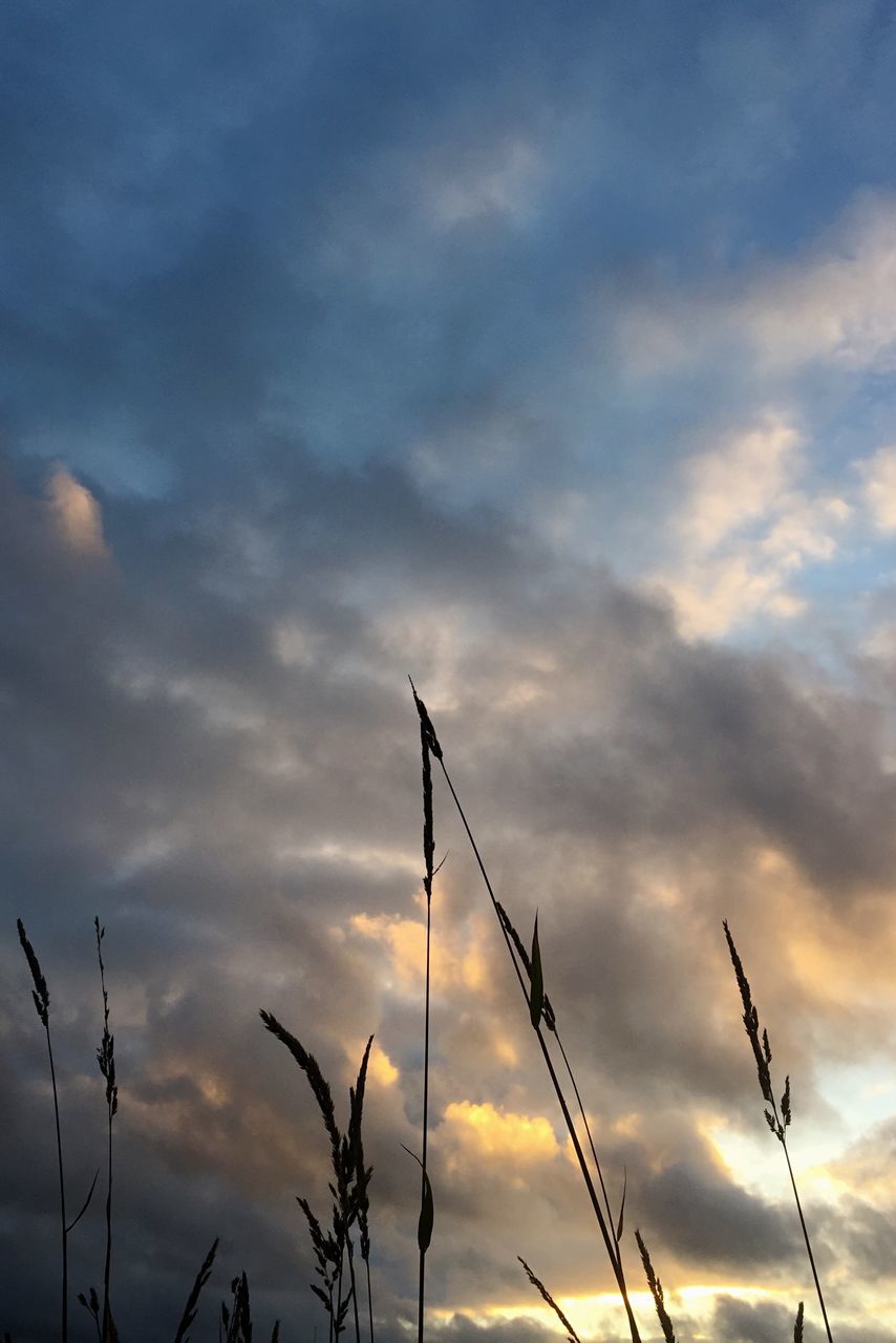 sky, cloud - sky, low angle view, cloudy, silhouette, tranquility, sunset, cloud, nature, beauty in nature, tranquil scene, scenics, weather, dusk, overcast, outdoors, no people, bird, idyllic, cloudscape