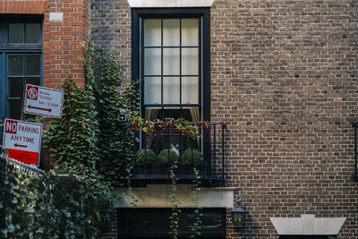 View of potted plant against building