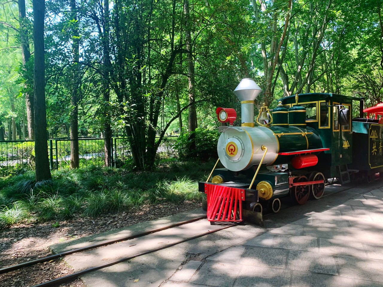 RED ROAD AMIDST TREES IN FOREST