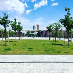 Trees in city against sky