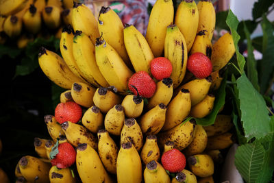 Close-up of fruits