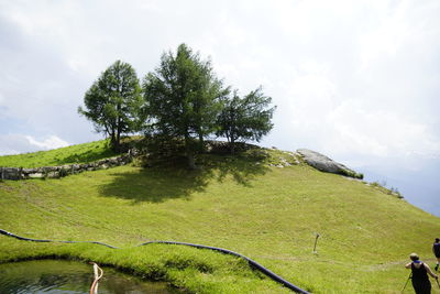 Scenic view of tree on field against sky