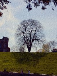 Bare trees against buildings