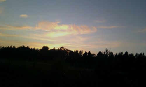 silhouette