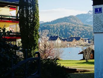 Scenic view of tree and buildings against sky