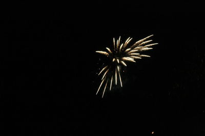 Low angle view of firework display against black background