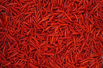 Red chillies background,selective focus,planted in asia, thailand.