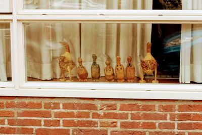 View of cat in glass window