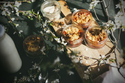High angle view of flowering plants on table