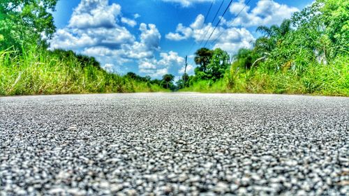 Empty road along trees