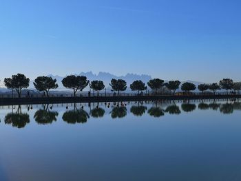 Reflection of trees in lake against blue sky