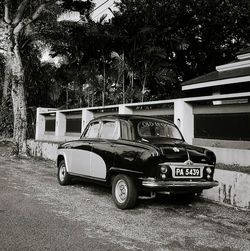 Vintage car against trees