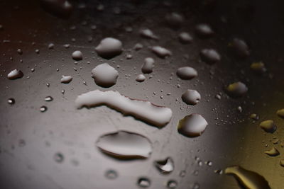 Full frame shot of raindrops on leaf