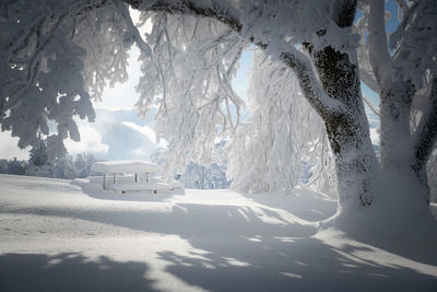 Tree covered in deep snow in scenic winter wonderland, salzburg, austria.