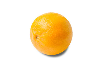 Close-up of orange against white background