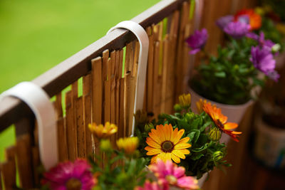 Floral balcony decor is a home concept.