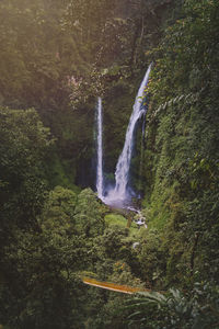 Scenic view of waterfall in forest