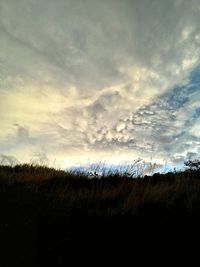 Silhouette trees on landscape against sky