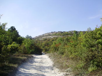 Scenic view of forest against clear sky