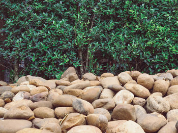 Stone wall by rocks and trees