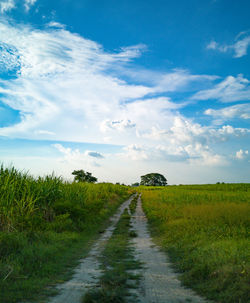 Dirt road amidst field against sky