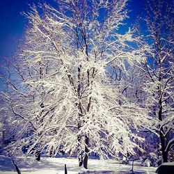Scenic view of snow covered landscape