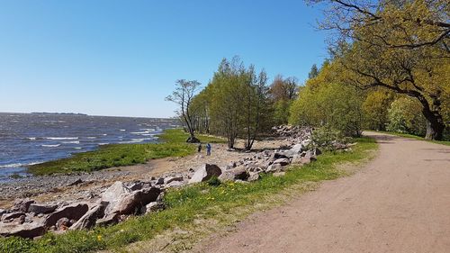 Scenic view of landscape against clear sky