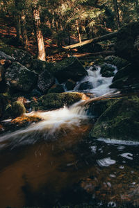 Stream flowing through rocks in forest