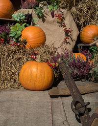 View of pumpkins in market during autumn