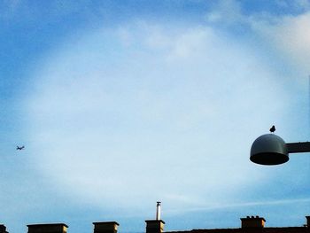 Low angle view of bird against blue sky