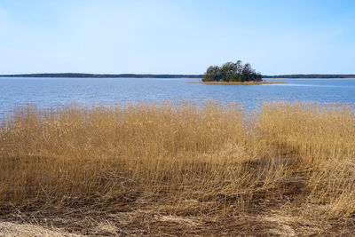Scenic view of sea against clear sky