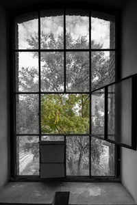 Window of abandoned building