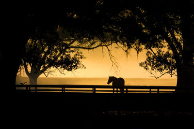 Silhouette horse on field against sky during sunset