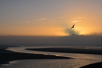 Seagull flying over sea against sky during sunset