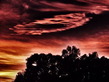 Silhouette of trees against cloudy sky