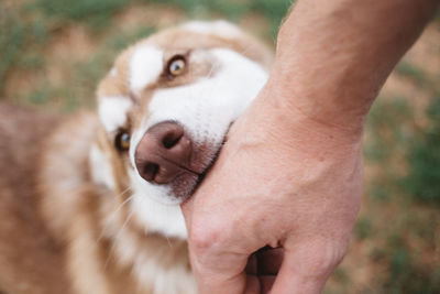 Close-up of human hand on field