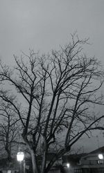 Low angle view of bare trees against sky