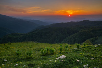 Very beautiful sunset in the mountains of chechnya in the caucasus